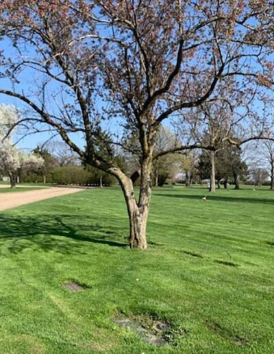 kankakee memorial gardens